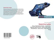Copertina di Geocrinia Lutea