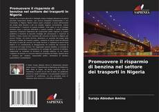 Promuovere il risparmio di benzina nel settore dei trasporti in Nigeria的封面