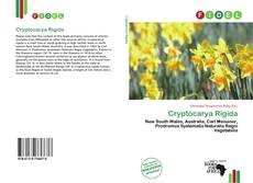 Copertina di Cryptocarya Rigida