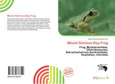 Copertina di Mount Glorious Day Frog