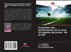 Évaluation des performances de la zone d'irrigation de Jurala - RS et SIG的封面