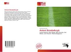 Copertina di Antoni Brzeżańczyk