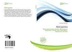 Buchcover von Batropetes