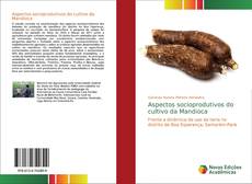 Capa do livro de Aspectos socioprodutivos do cultivo da Mandioca 