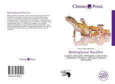 Buchcover von Bolitoglossa Nicefori