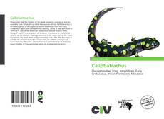 Callobatrachus的封面