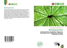 Bookcover of Brachycormus