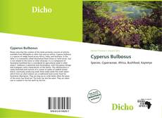 Copertina di Cyperus Bulbosus