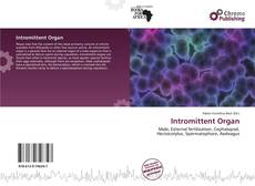 Couverture de Intromittent Organ