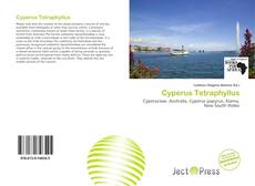 Borítókép a  Cyperus Tetraphyllus - hoz