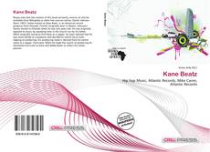 Capa do livro de Kane Beatz 