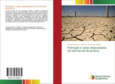Bookcover of Hidrogel e solos degradados do Semiárido Brasileiro