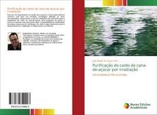 Bookcover of Purificação do caldo de cana-de-açúcar por irradiação
