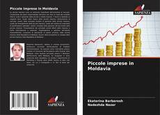Piccole imprese in Moldavia kitap kapağı