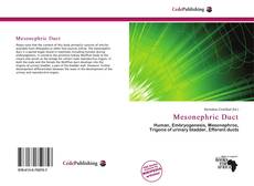 Buchcover von Mesonephric Duct