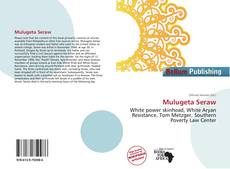 Mulugeta Seraw的封面