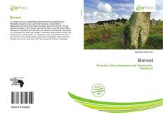 Copertina di Borest