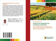 Bookcover of Práticas de adaptação às mudanças climáticas