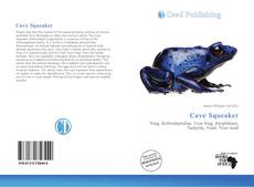 Bookcover of Cave Squeaker