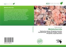 Bookcover of Metatorbernite