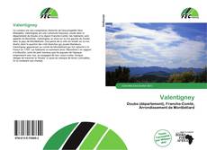 Borítókép a  Valentigney - hoz