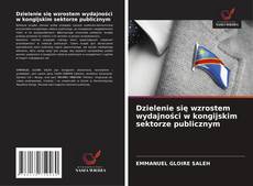 Bookcover of Dzielenie się wzrostem wydajności w kongijskim sektorze publicznym