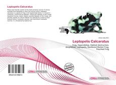 Capa do livro de Leptopelis Calcaratus 