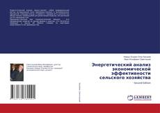 Couverture de Энергетический анализ экономической эффективности сельского хозяйства