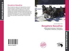 Doryphora Sassafras kitap kapağı