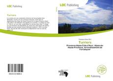 Bookcover of Turriers