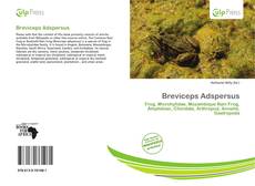 Breviceps Adspersus的封面