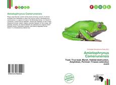 Amietophrynus Camerunensis的封面