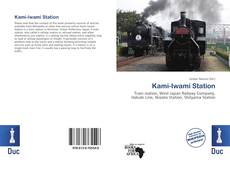 Bookcover of Kami-Iwami Station