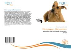 Portada del libro de Elaeocarpus Reticulatus