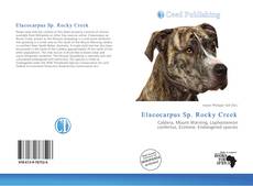 Elaeocarpus Sp. Rocky Creek的封面