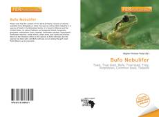 Buchcover von Bufo Nebulifer