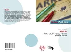 FEMSA的封面