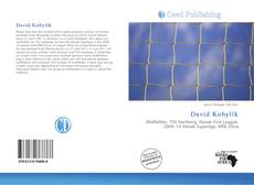 Portada del libro de David Kobylík