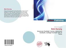 Bob Herwig的封面