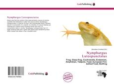 Copertina di Nymphargus Luteopunctatus