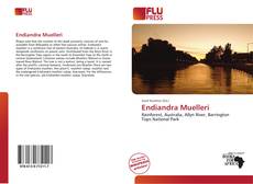 Bookcover of Endiandra Muelleri