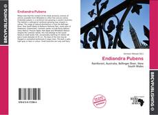 Buchcover von Endiandra Pubens