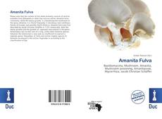 Copertina di Amanita Fulva