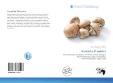 Bookcover of Amanita Ovoidea