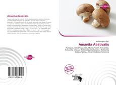 Buchcover von Amanita Aestivalis