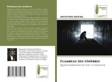 Обложка Flambeau des ténèbres