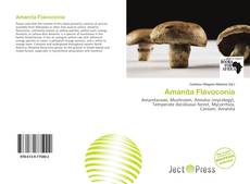 Couverture de Amanita Flavoconia