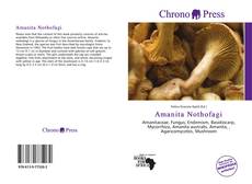 Buchcover von Amanita Nothofagi