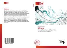 Myiase的封面