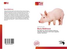 Buru Babirusa的封面